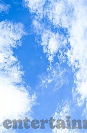 默克尔世界杯欢呼-默克尔世界杯欢呼，一场跨越国界的足球盛宴